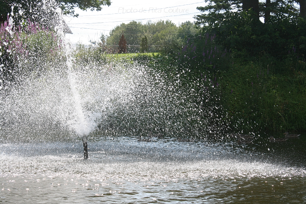 IMG_000150.JPG