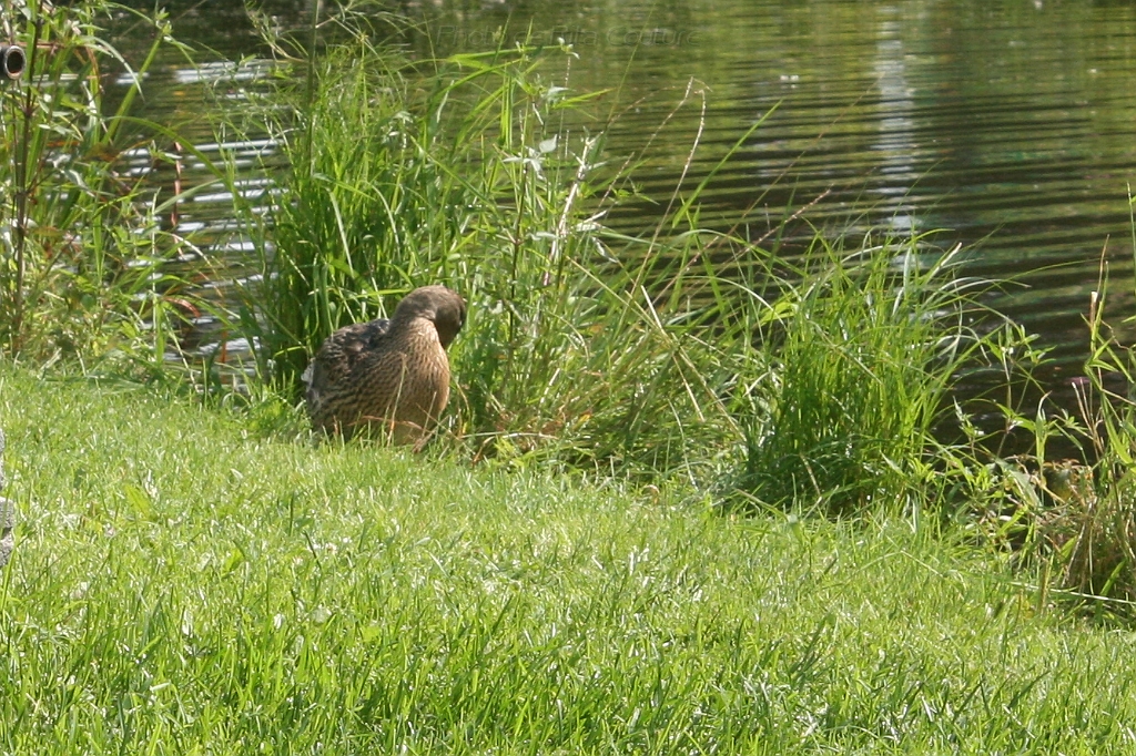 IMG_000159.JPG