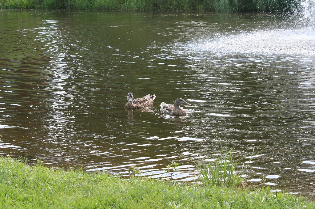 IMG_000164.JPG