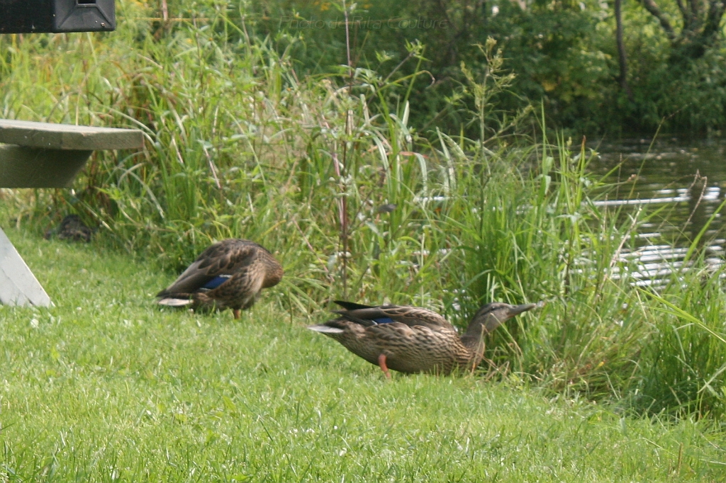 IMG_000166.JPG