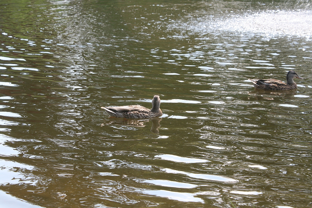 IMG_000167.JPG