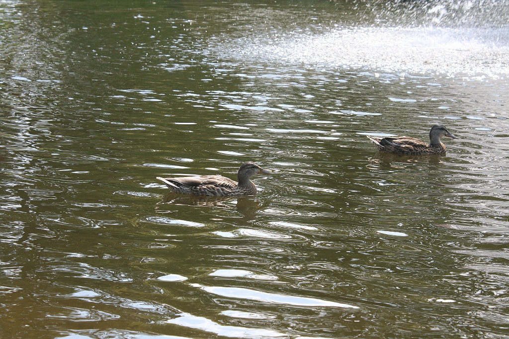 IMG_000168.JPG