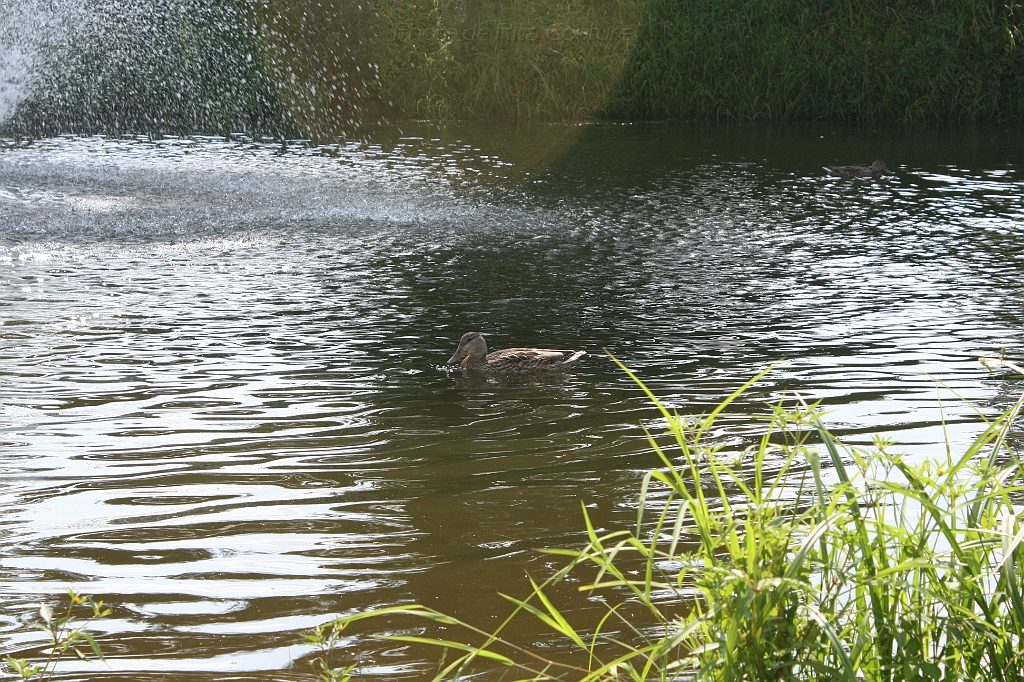 IMG_000184.JPG