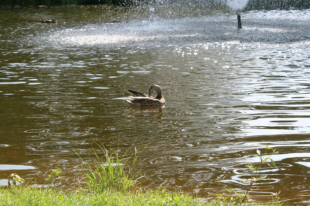 IMG_000190.JPG
