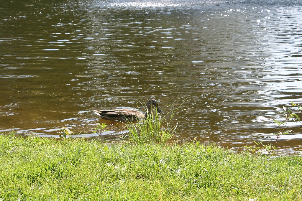 IMG_000200.JPG