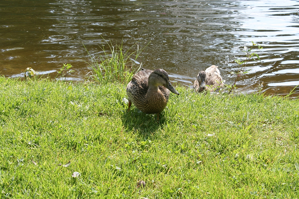 IMG_000206.JPG