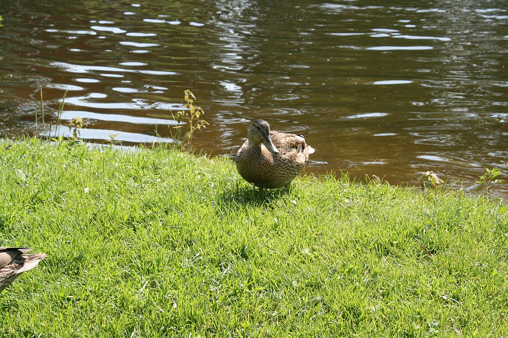 IMG_000214.JPG