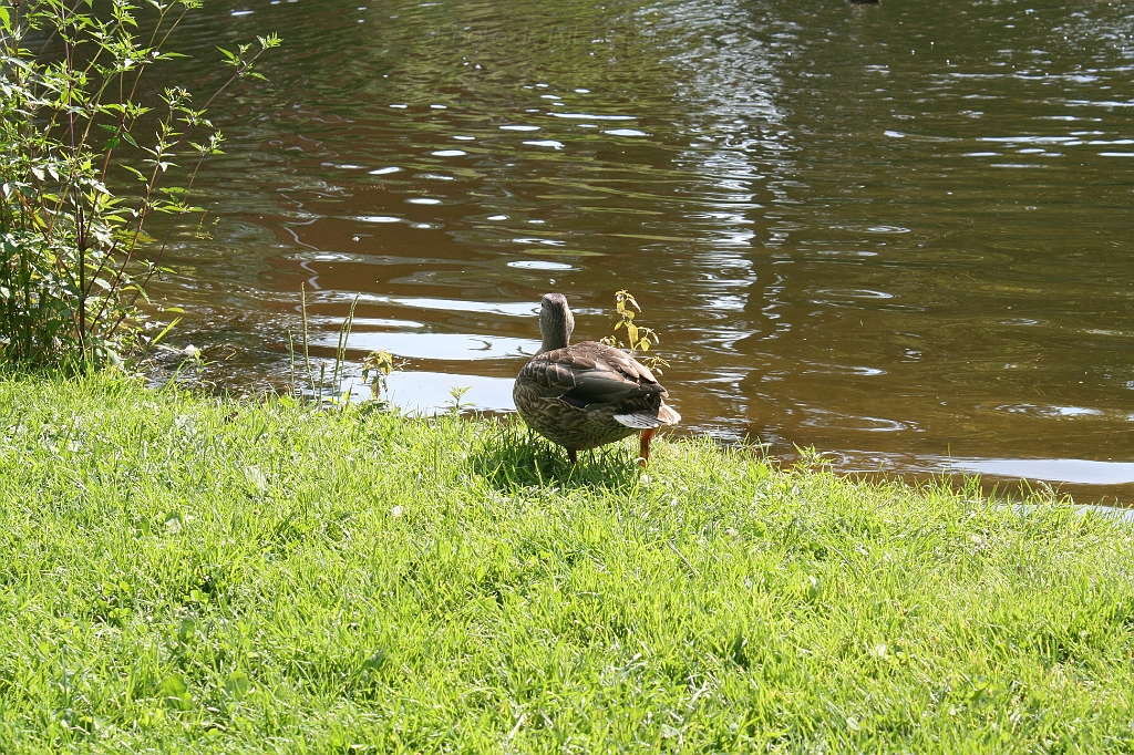 IMG_000221.JPG