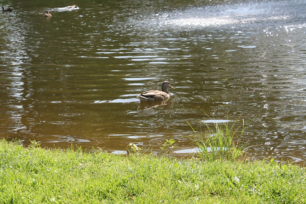 IMG_000224.JPG