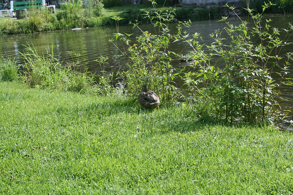 IMG_000226.JPG