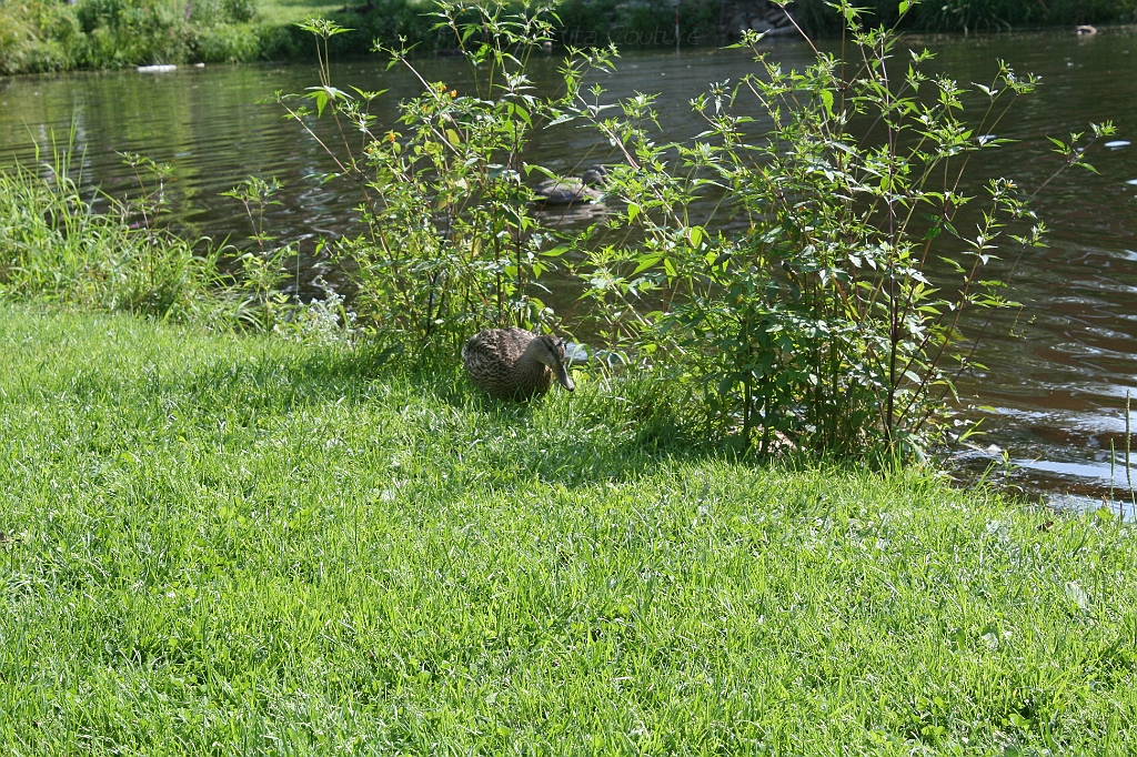 IMG_000227.JPG