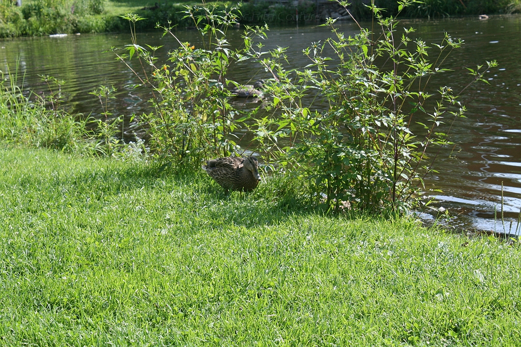 IMG_000228.JPG