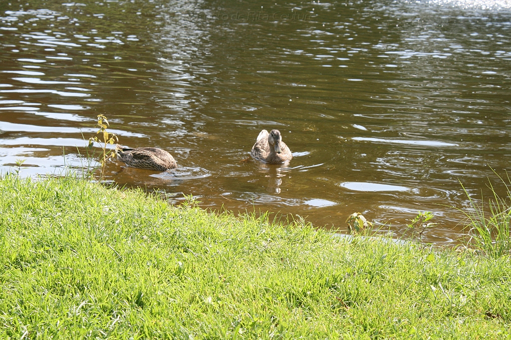 IMG_000241.JPG