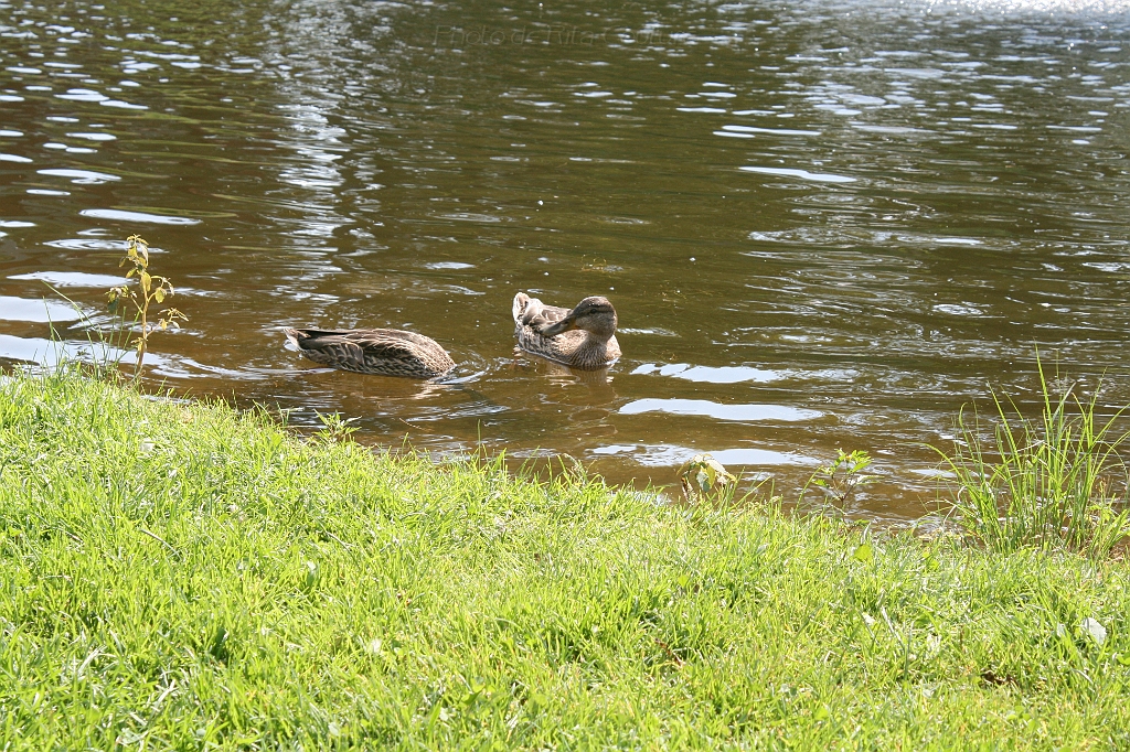 IMG_000242.JPG
