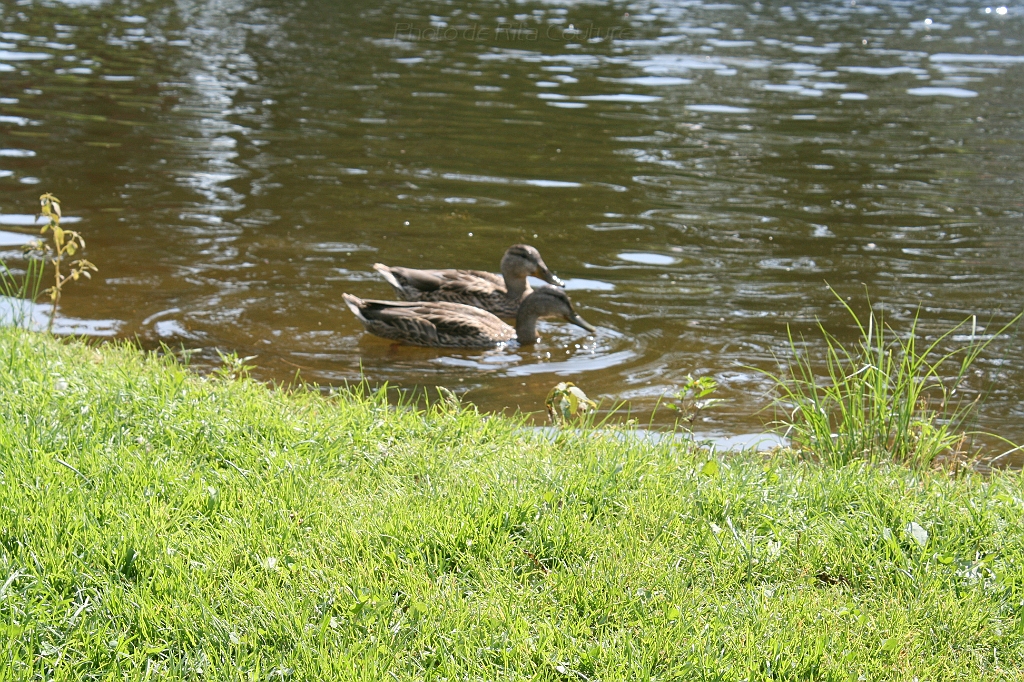 IMG_000244.JPG