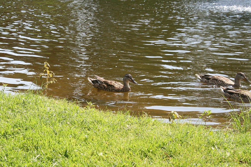 IMG_000251.JPG