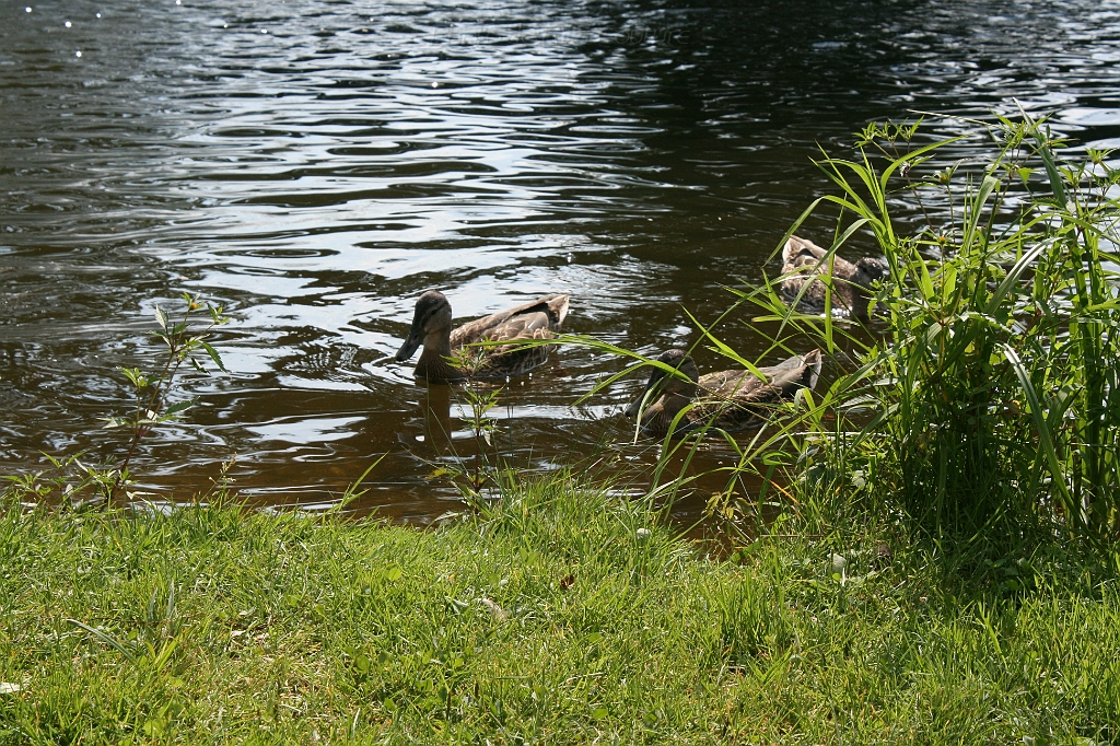 IMG_000253.JPG