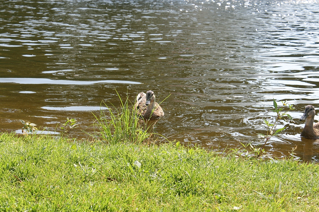 IMG_000254.JPG