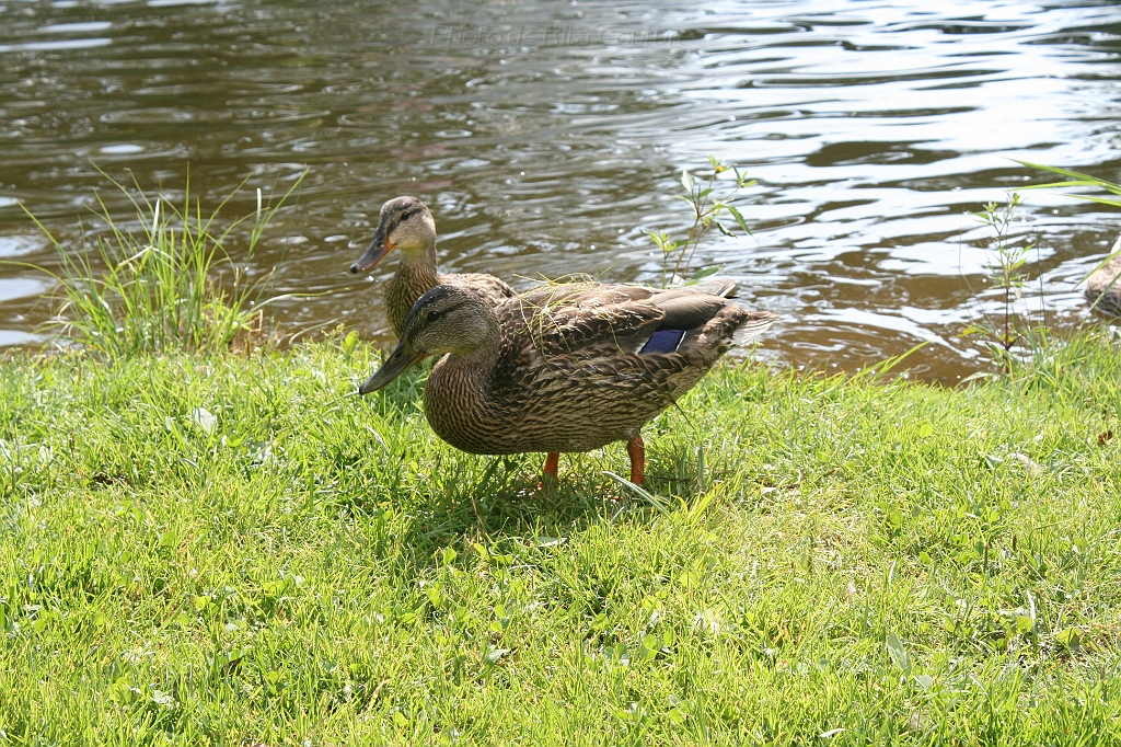 IMG_000267.JPG