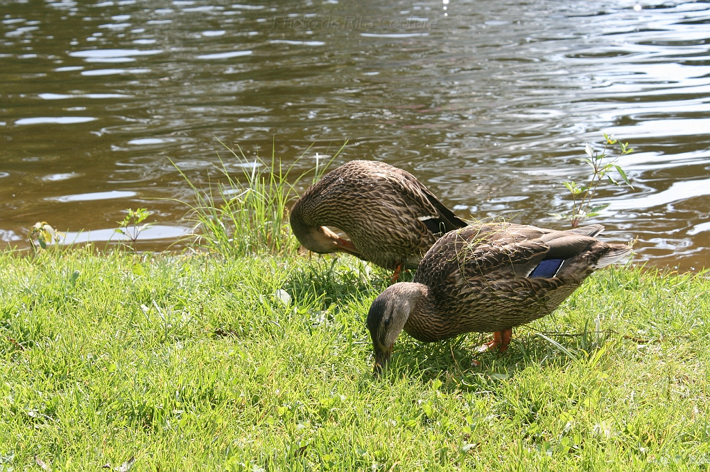 IMG_000269.JPG