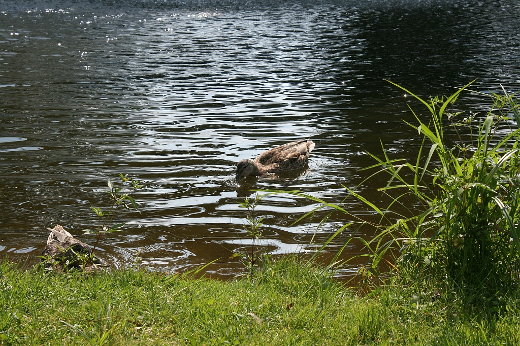 IMG_000278.JPG