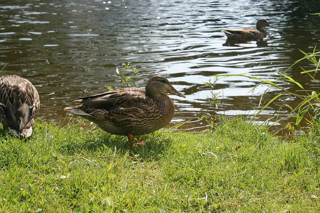 IMG_000280.JPG