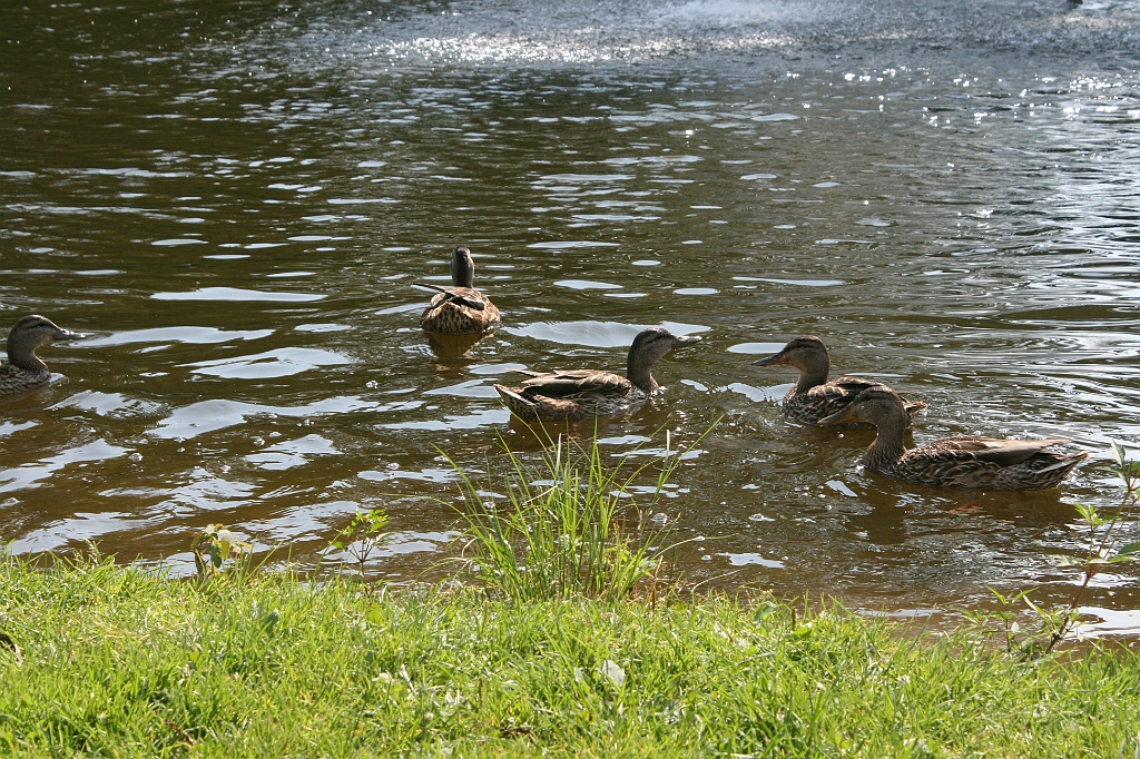 IMG_000282.JPG