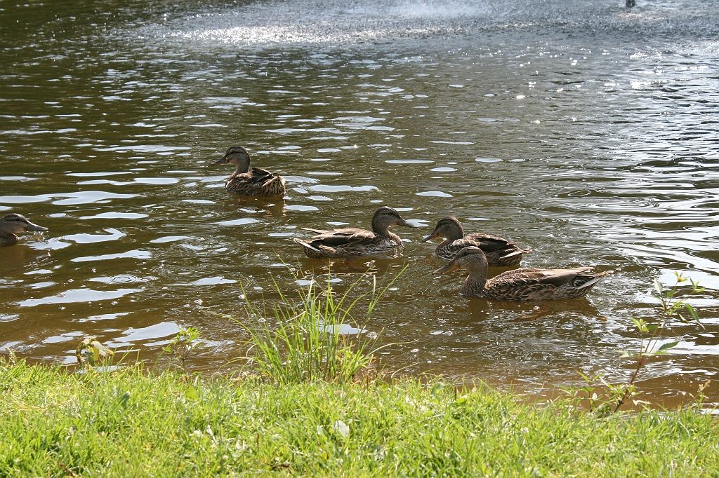 IMG_000283.JPG