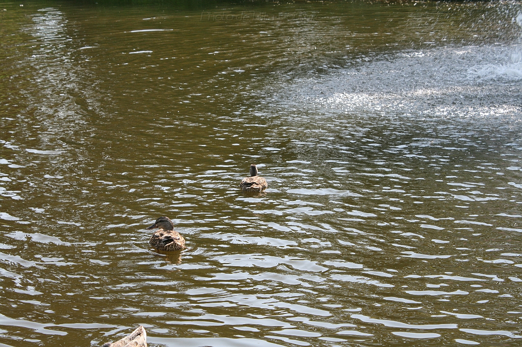 IMG_000300.JPG