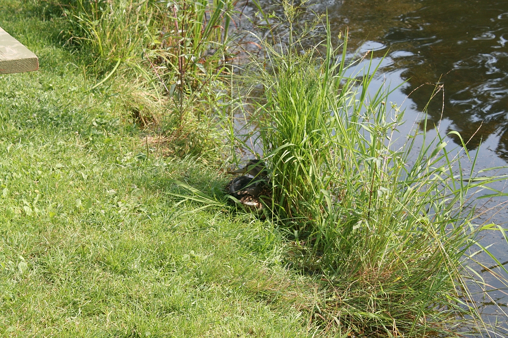 IMG_000301.JPG