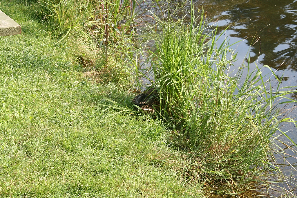 IMG_000304.JPG