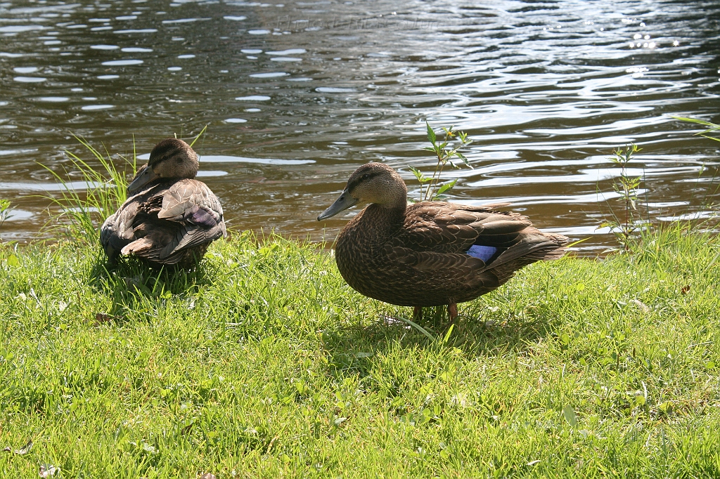 IMG_000315.JPG