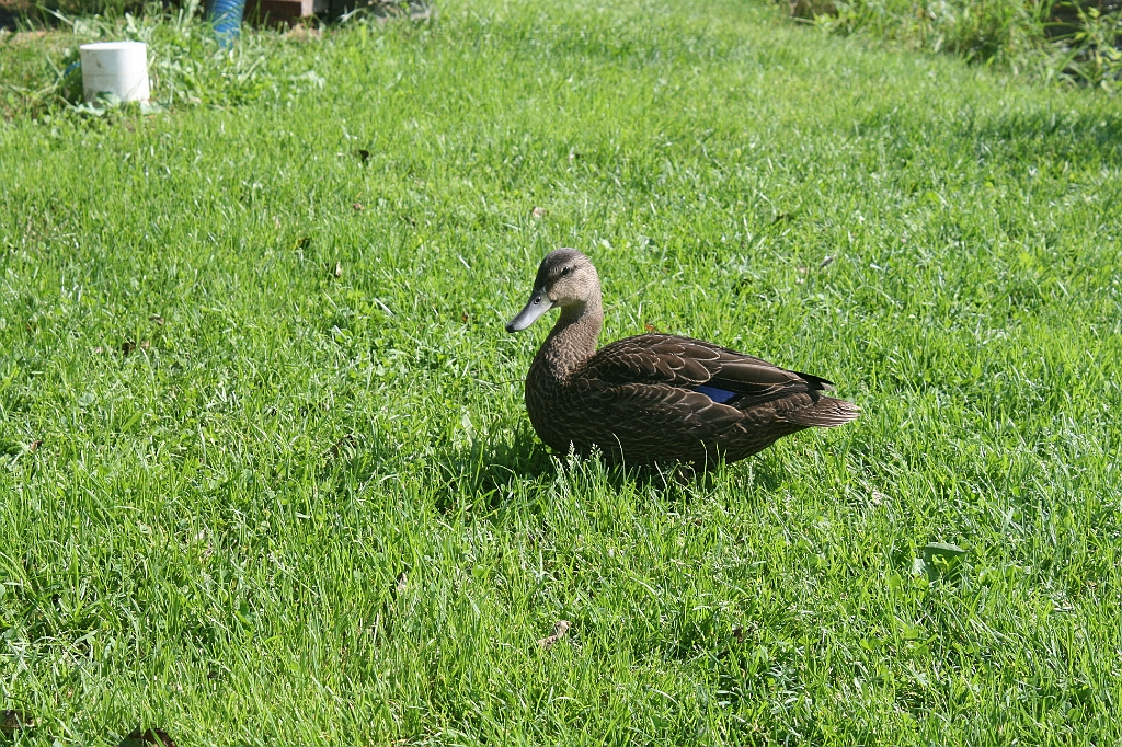 IMG_000322.JPG