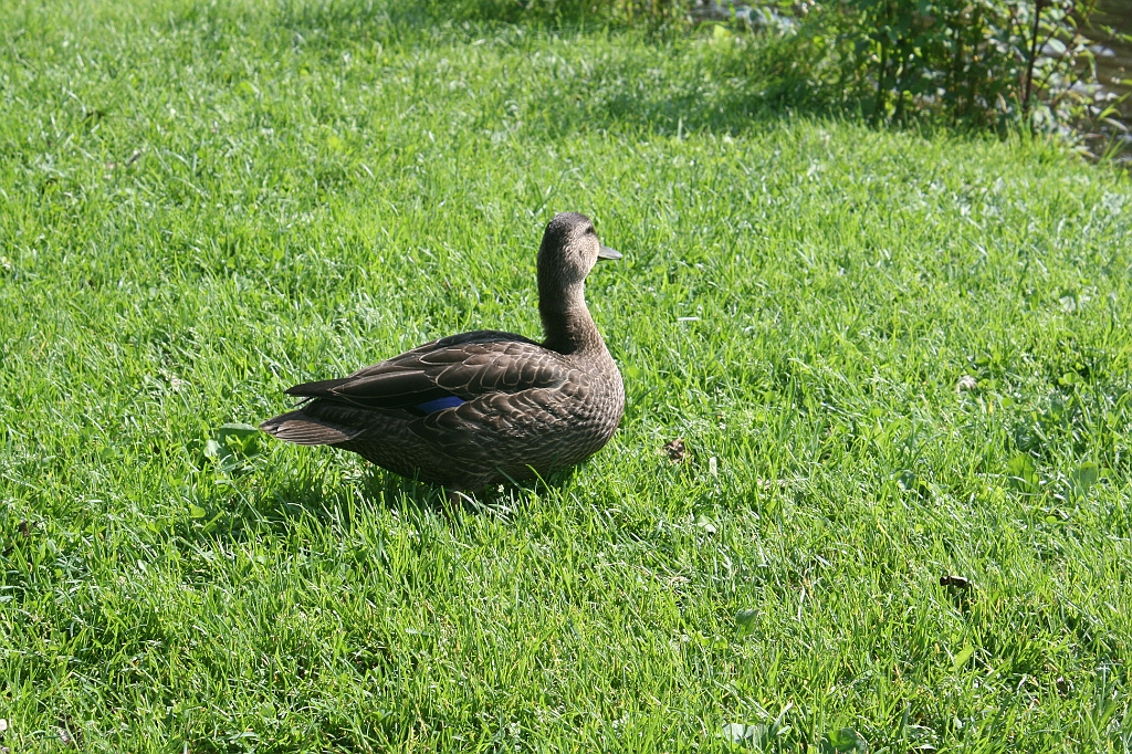 IMG_000334.JPG