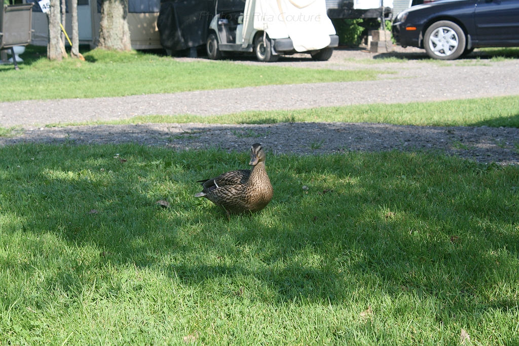 IMG_000344.JPG