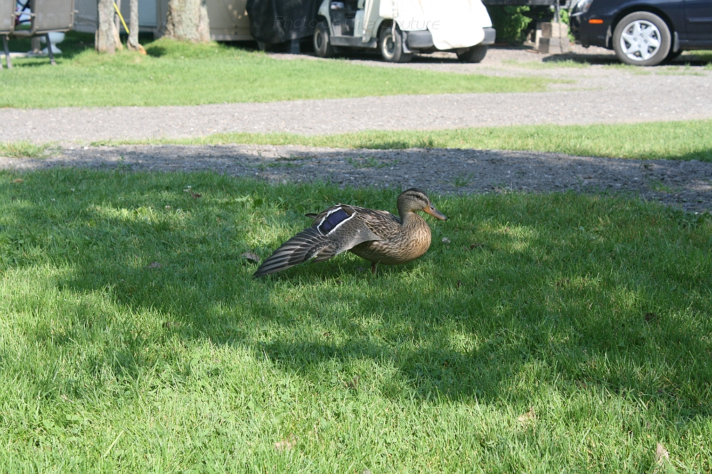IMG_000347.JPG