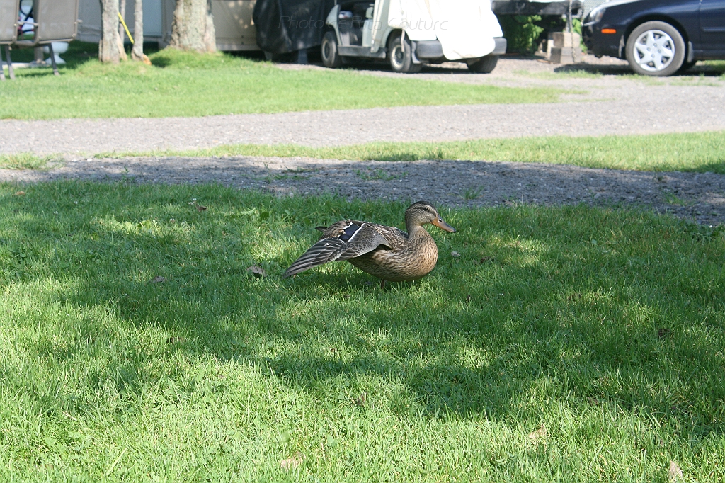 IMG_000348.JPG