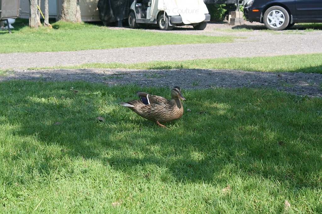 IMG_000349.JPG