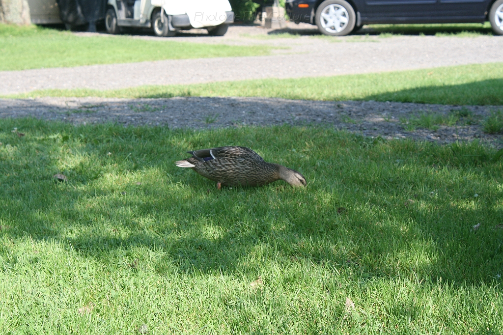 IMG_000351.JPG