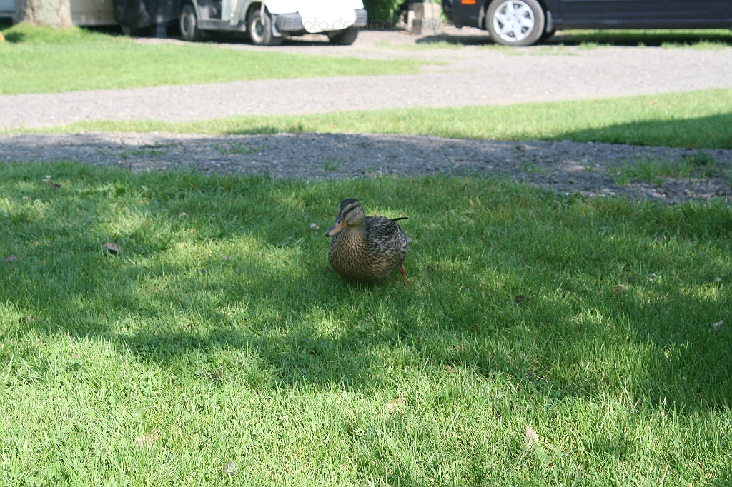 IMG_000352.JPG