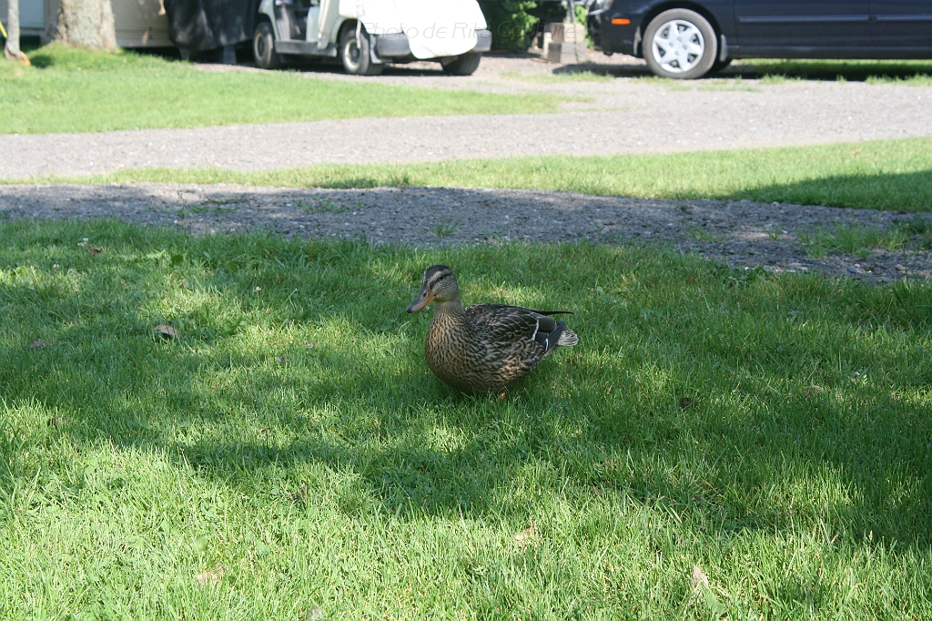 IMG_000353.JPG