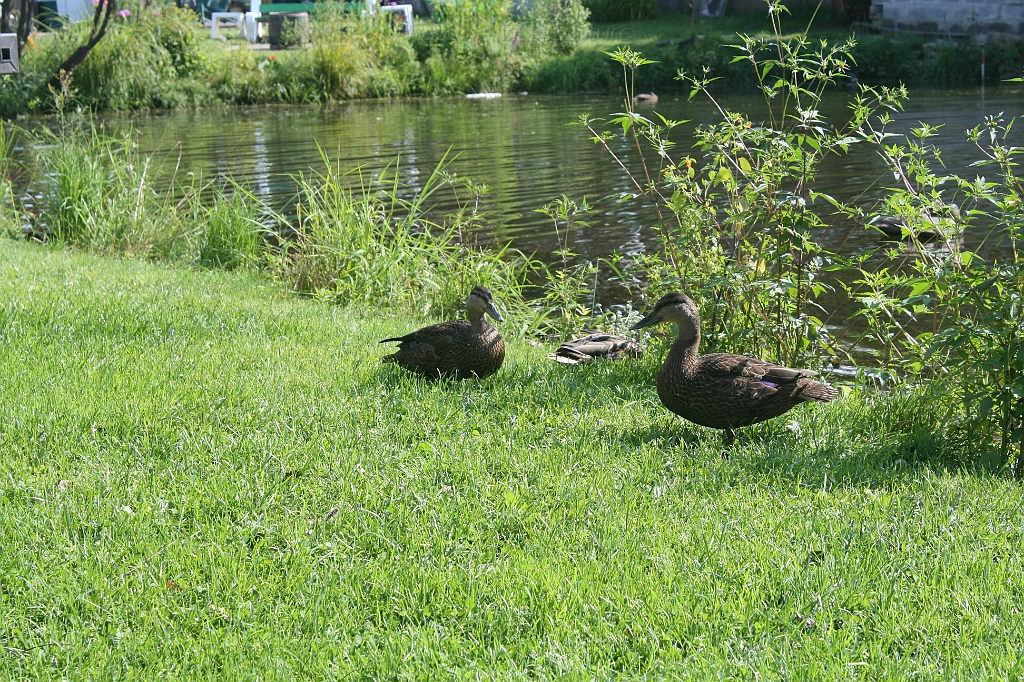 IMG_000355.JPG