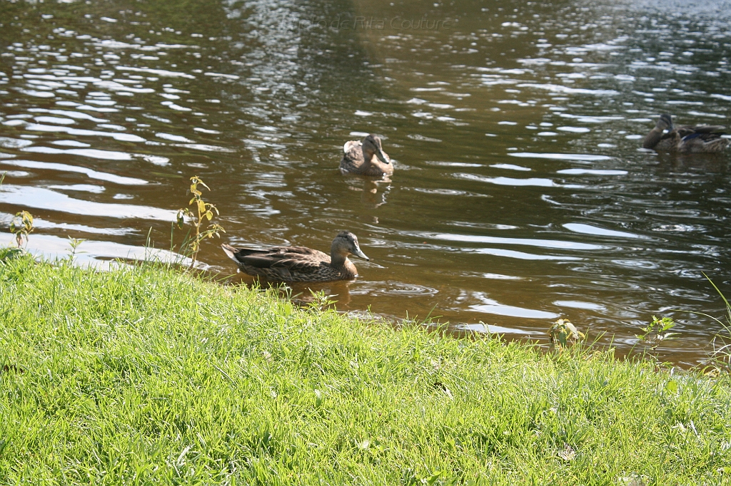 IMG_000357.JPG
