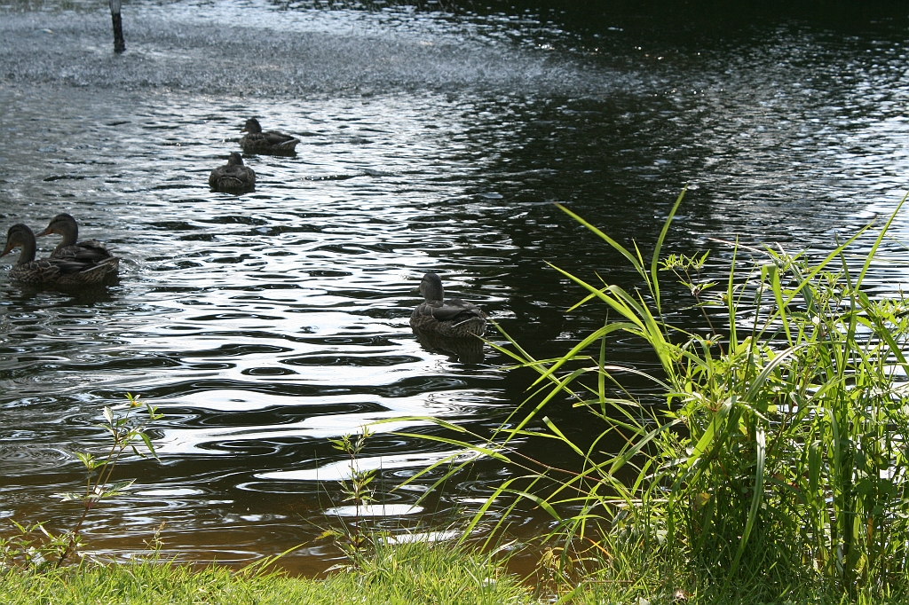 IMG_000359.JPG