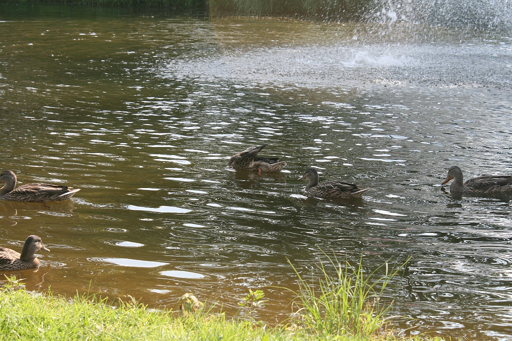 IMG_000360.JPG
