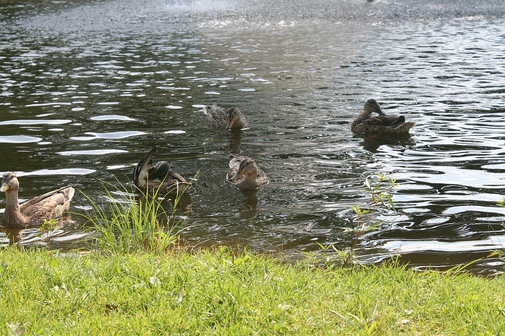 IMG_000372.JPG