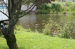 IMG_000002