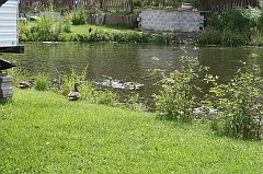 IMG_000005