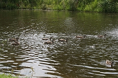 IMG_000007