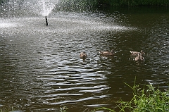 IMG_000011
